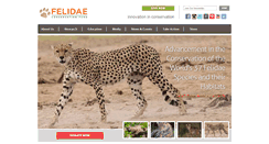 Desktop Screenshot of felidaefund.org