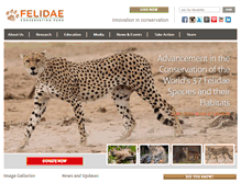 Tablet Screenshot of felidaefund.org